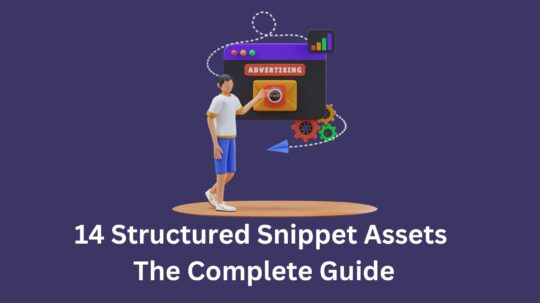 structure snippet